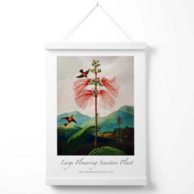 Vintage Floral Exhibition -  Flowering Plant Poster with Hanger / 33cm / White