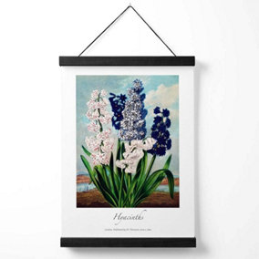 Vintage Floral Exhibition -  Hyacinth Flowers Medium Poster with Black Hanger