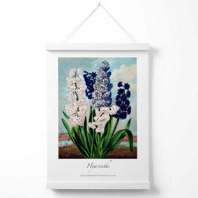 Vintage Floral Exhibition -  Hyacinth Flowers Poster with Hanger / 33cm / White