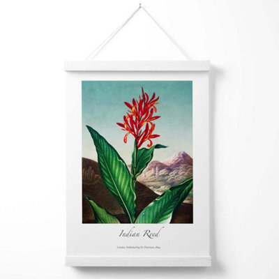 Vintage Floral Exhibition -  Indian Reed Poster with Hanger / 33cm / White