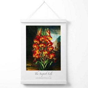 Vintage Floral Exhibition -  Lily Flower Poster with Hanger / 33cm / White