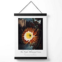Vintage Floral Exhibition -  Night-Blooming Flower Medium Poster with Black Hanger