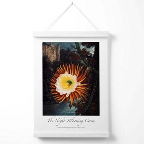 Vintage Floral Exhibition -  Night-Blooming Flower Poster with Hanger / 33cm / White