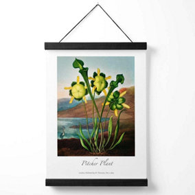Vintage Floral Exhibition -  Pitcher Plant Medium Poster with Black Hanger