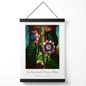 Vintage Floral Exhibition -  Quadrangle Passion flower Medium Poster with Black Hanger