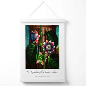 Vintage Floral Exhibition -  Quadrangle Passion flower Poster with Hanger / 33cm / White