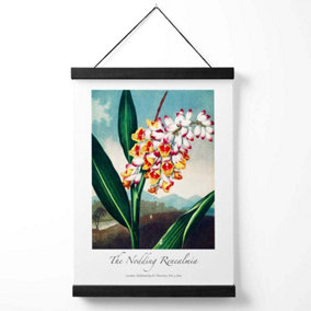 Vintage Floral Exhibition -  Renealmia Flower Medium Poster with Black Hanger