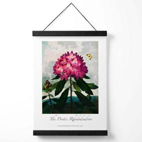 Vintage Floral Exhibition -  Rhododendron Flower Medium Poster with Black Hanger
