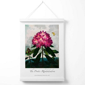 Vintage Floral Exhibition -  Rhododendron Flower Poster with Hanger / 33cm / White