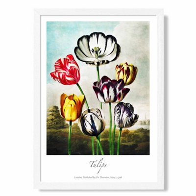 Vintage Floral Exhibition - Tulip Flowers Art Print with White Frame ...