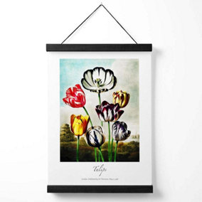 Vintage Floral Exhibition -  Tulip Flowers Medium Poster with Black Hanger