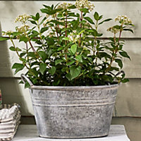 Vintage Grey Galvanised Trough Bucket Flower Pot with Handles Embossed Outdoor Garden Planter
