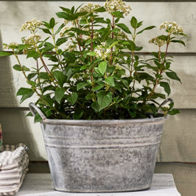 Vintage Grey Galvanised Trough Bucket Flower Pot with Handles Embossed Outdoor Garden Planter