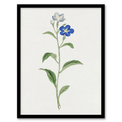 Vintage Japan Botanical Framed Wall Art Print Blue Flower - A4 Size