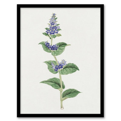 Vintage Japan Botanical Framed Wall Art Print Gentian Flower - A4 Size