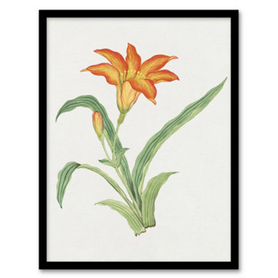 Vintage Japan Botanical Framed Wall Art Print Orange Lily Flower - A4 Size