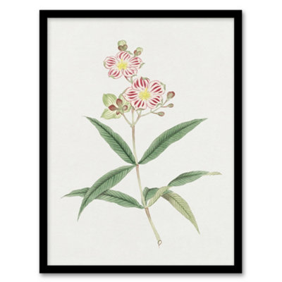 Vintage Japan Botanical Framed Wall Art Print Red White Blossoms - A4 Size