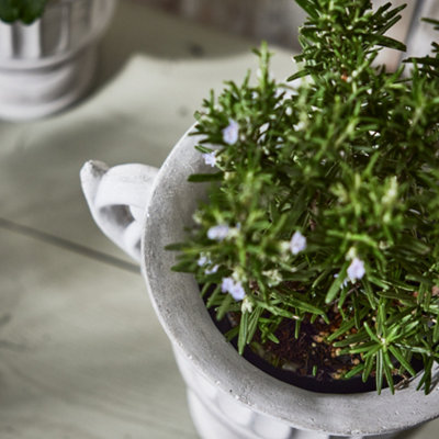 Vintage Style Concrete Grey Large Indoor Outdoor Planter Plant Pot with Baroque Scrolled Handles (H) 25cm, (Dia)30cm