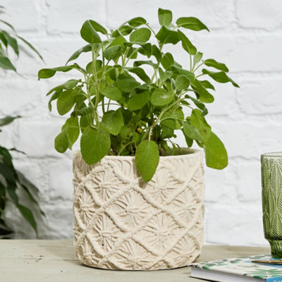 Vintage Style Medium Braided Style Indoor Outdoor Garden Planter
