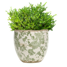 Vintage Style Small Ceramic Botanical Worn Effect Indoor Outdoor Garden Planter Flower Plant Pot