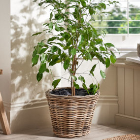 Vintage Style Small Wicker Plant Pot with Plastic Lining Bucket Planter Rattan Indoor Outdoor Flower Pot Garden Planter
