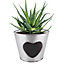 Vintage Zinc Love Heart Flower Indoor Outdoor Garden Planter Pot