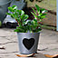 Vintage Zinc Love Heart Flower Indoor Outdoor Garden Planter Pot