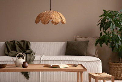 Vintro Luxury Matt Emulsion Light Brown , Smooth Chalky Finish, Multi Surface Paint for Walls, Ceilings, Wood, Metal - 1L
