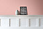 Vintro Luxury Matt Emulsion Pink Smooth Chalky Finish, Multi Surface Paint - Walls, Ceilings, Wood, Metal - 1L (Dancing Salmon)