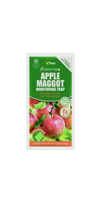 Vitax Apple Maggot Monitoring Trap 114g Diy At Bandq