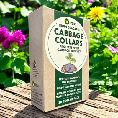 Vitax Biodegradable Cabbage Collars Protection Against Cabbage Root Fly ...