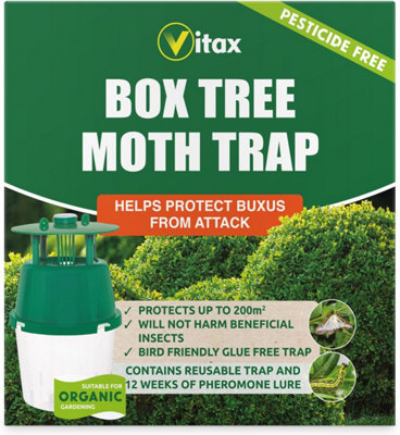 Vitax Box Tree Moth Trap, Protects Buxus, Box Hedge, 200 Square Metres of Coverage, Bird and Pollinator Friendly
