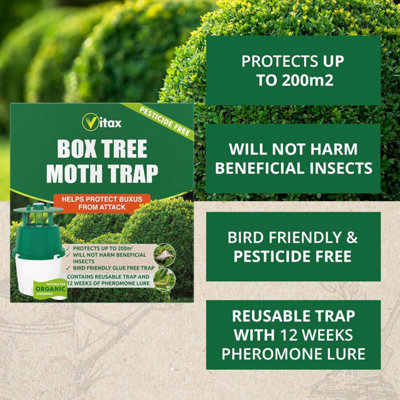 Vitax Box Tree Moth Trap, Protects Buxus, Box Hedge, 200 Square Metres of Coverage, Bird and Pollinator Friendly