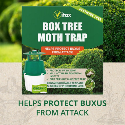 Vitax Box Tree Moth Trap, Protects Buxus, Box Hedge, 200 Square Metres of Coverage, Bird and Pollinator Friendly