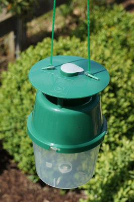 Vitax Box Tree Moth Trap, Protects Buxus, Box Hedge, 200 Square Metres of Coverage, Bird and Pollinator Friendly