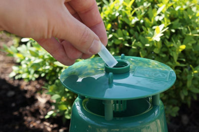 Vitax Box Tree Moth Trap, Protects Buxus, Box Hedge, 200 Square Metres of Coverage, Bird and Pollinator Friendly