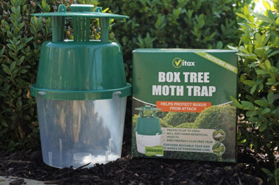 Vitax Box Tree Moth Trap, Protects Buxus, Box Hedge, 200 Square Metres of Coverage, Bird and Pollinator Friendly