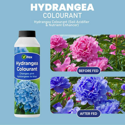Vitax Hydrangea Colourant 250g Pack of 2 Changes Pink Hydrangeas