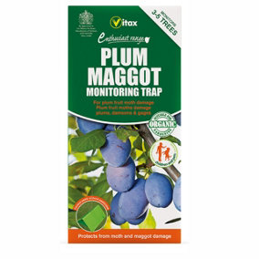 Vitax Plum Maggot Monitoring Trap