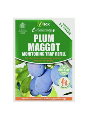 Vitax Plum Maggot Trap 35g Refill Pack