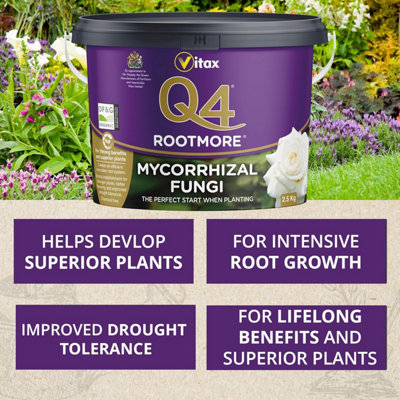 Vitax Q4 Rootmore 2.5kg Rooting Fertiliser with Mycorrhizal Fungi for ...