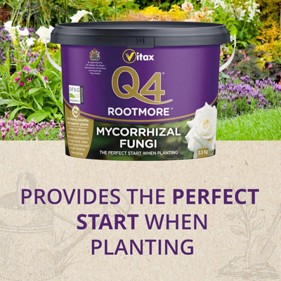 Vitax Q4 Rootmore 2.5kg Rooting Fertiliser with Mycorrhizal Fungi for ...