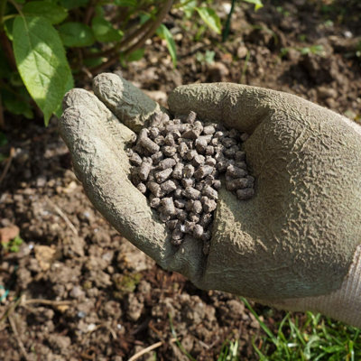 Vitax Q4 Rootmore 250g Rooting Fertiliser with Mycorrhizal Fungi for ...