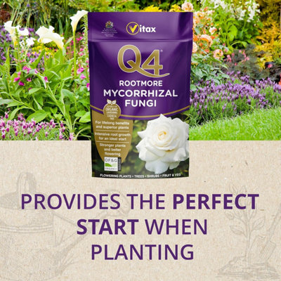 Vitax Q4 Rootmore Mycorrhizal Fungi 250g Organic Root Stimulant with ...