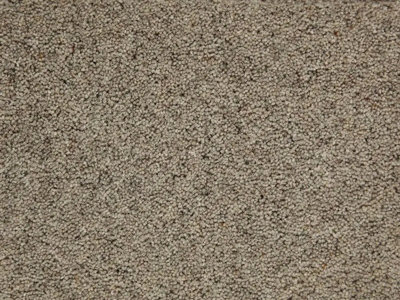 Vitronic Berber 80/20 Luxury Wool Carpet - 40oz Pile by Remland (Silver Birch, 2m x 4m)