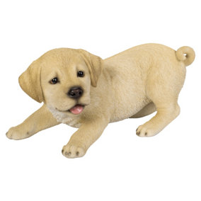 Vivid Arts Active Pups Golden Labrador (Size D)