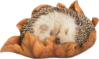 Vivid Arts Baby Hedgehog in Leaf Garden Ornament