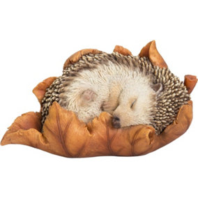 Vivid Arts Baby Hedgehog in Leaf Garden Ornament