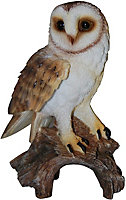 Vivid Arts Barn Owl Garden Ornament