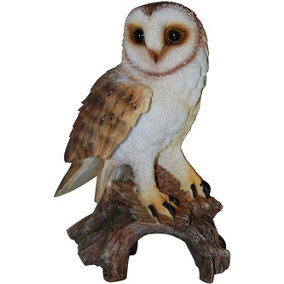 Vivid Arts Barn Owl Garden Ornament